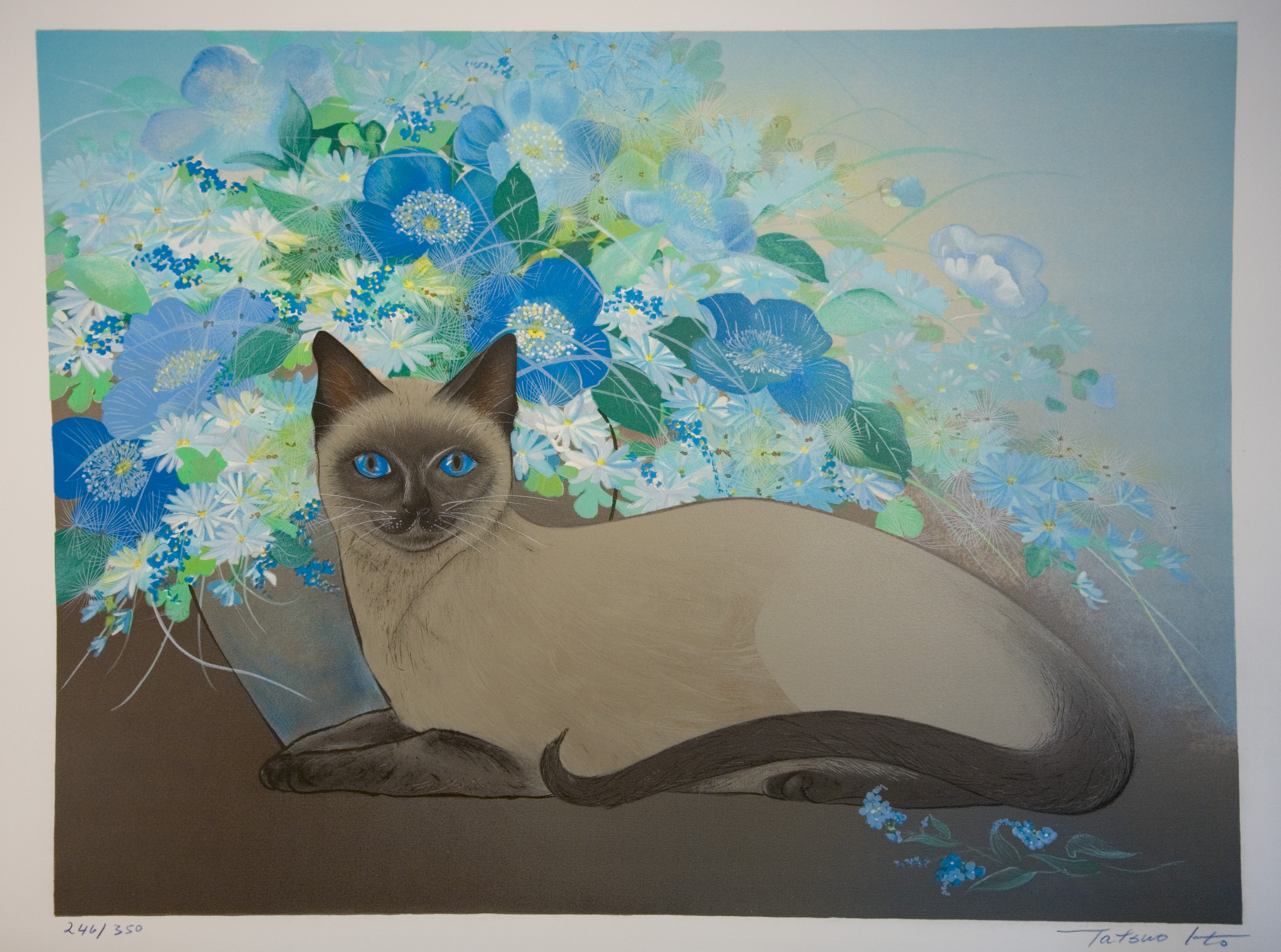 itocat.jpg